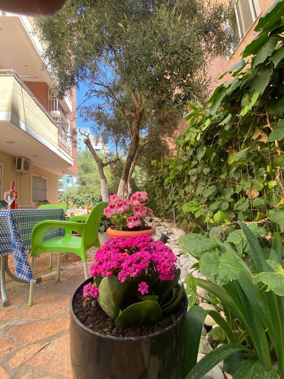 Olive Tree Apartment Sarandë Exteriér fotografie
